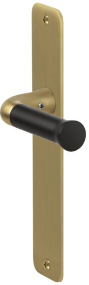 EV101 P211 SFC PVD satin gold satin black angle
