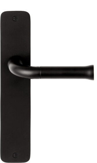 EV101 P211 SFC satin black