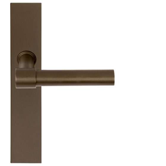 PBL20 XLP236 SFC bronze